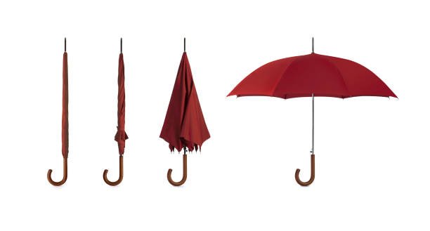 Designer Plastic Handle Umbrella for Men & Women - Image 5