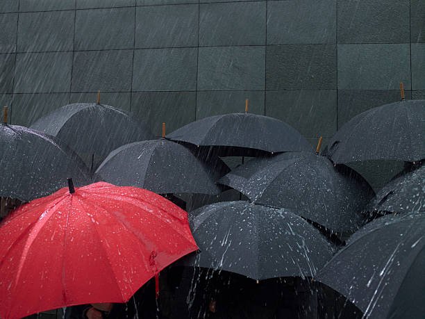 Designer Plastic Handle Umbrella for Men & Women - Image 4