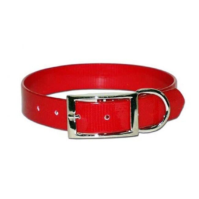 Adjustable Nylon Dog Collar for Pets | Comfortable & Durable Pet Neck Collar for Dogs - Image 2