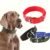 Adjustable nylon dog collar for pets in red, blue, green and black colors with metal buckle and secure fastening.