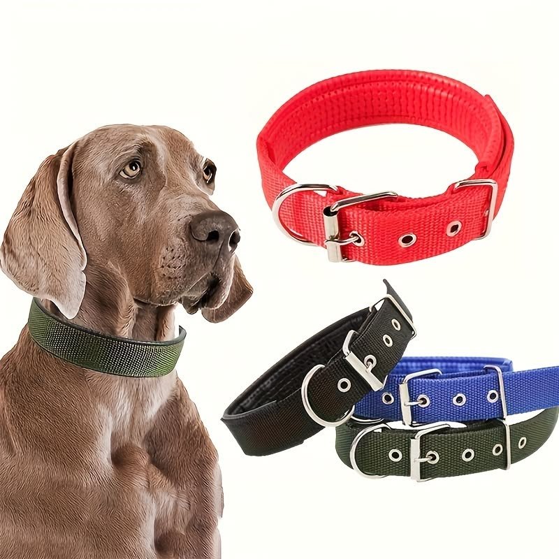 Adjustable nylon dog collar for pets in red, blue, green and black colors with metal buckle and secure fastening.