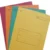 Colorful record files pack of 50 in assorted yellow, green, blue, orange and pink colors for office and school document storage