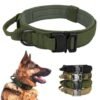 Military style tactical dog collar with adjustable padded nylon strap and metal quick-release buckle for dogs.